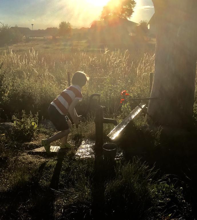 Källby Aeventyrsgardens Vandrarhem, Kinnekulle מראה חיצוני תמונה